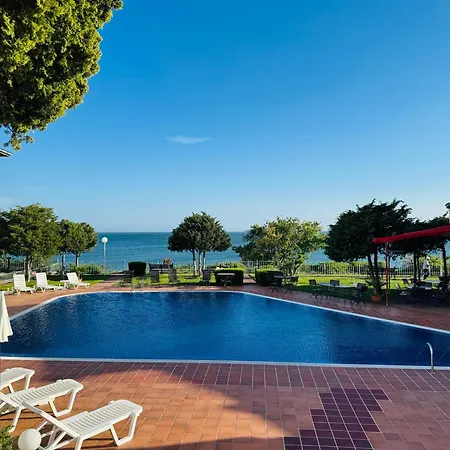 Sun Palace 4 *