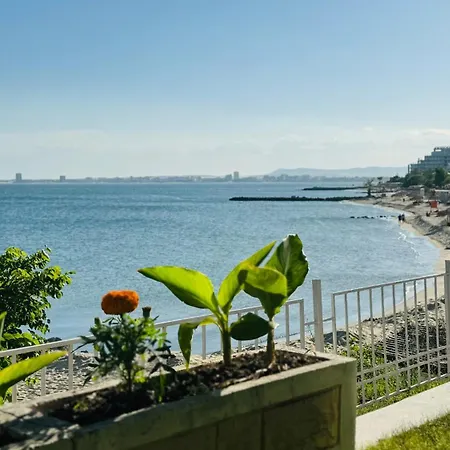Sun Palace 4 شقة سفيتي فلاس